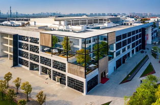 書房夜讀，點亮張江國創之心